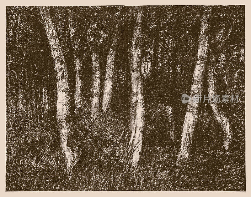 弗里德里希・威廉・奥托・Modersohn (In the forest, 1865年2月22日，Soest - 1943年3月10日，Rotenburg)，德国风景画家